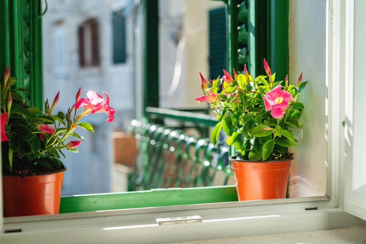 Appartement Jerolim
